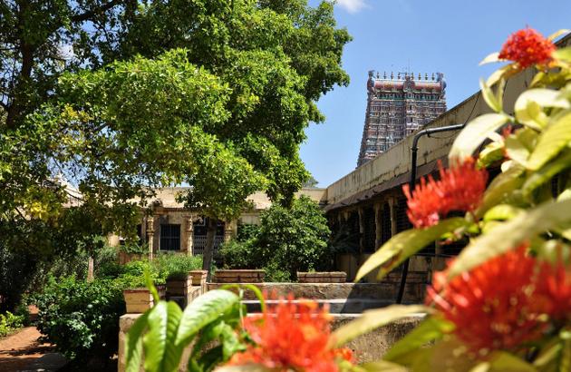 Madurai Meenakshi Temple Garden
